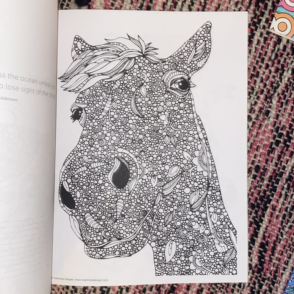 Adult Coloring Books - Picture 4 of 10